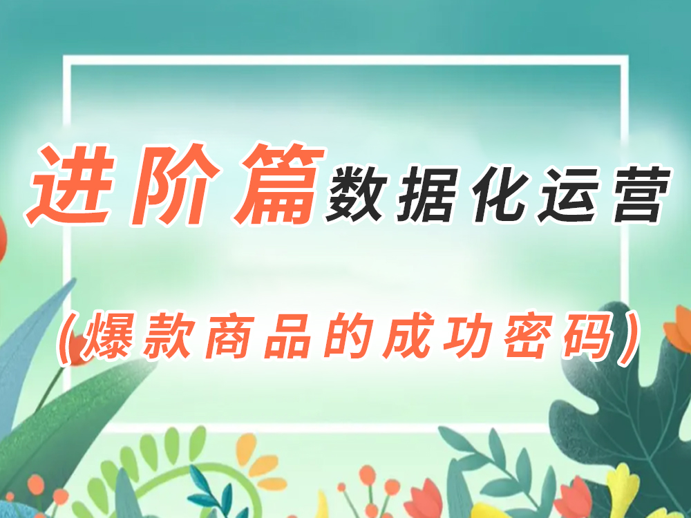 进阶篇-数据运营与流量转化