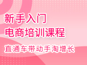 直通车如何带动手淘增长