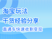 小类目30天盈利5W，靠直通车快速收割变现！